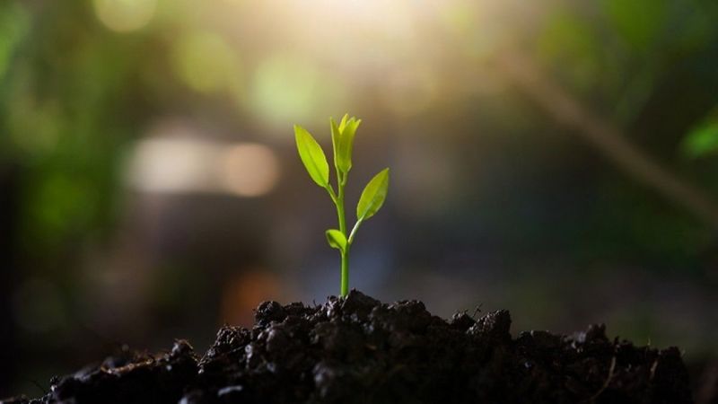 Üçüncü Cemre düştü mü 2021? 3. Cemre ne zaman, nereye düşecek?