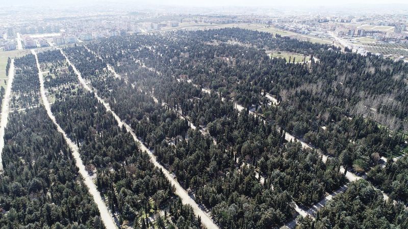 Bursa'da 1 milyon metrekare alana sahip mezarlık doldu
