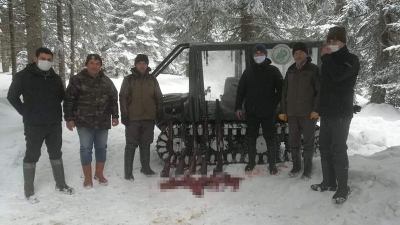 Düzce'de karaca avlayan 7 kişiye ceza kesildi