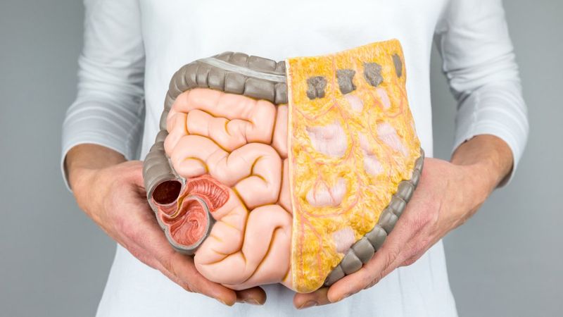 Koronavirüsün şiddetini azaltmak için bağırsak sağlığına dikkat edin