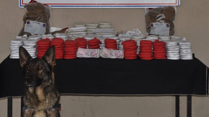 Hatay’da teğmenin arabasında 82 kilo esrar çıktı