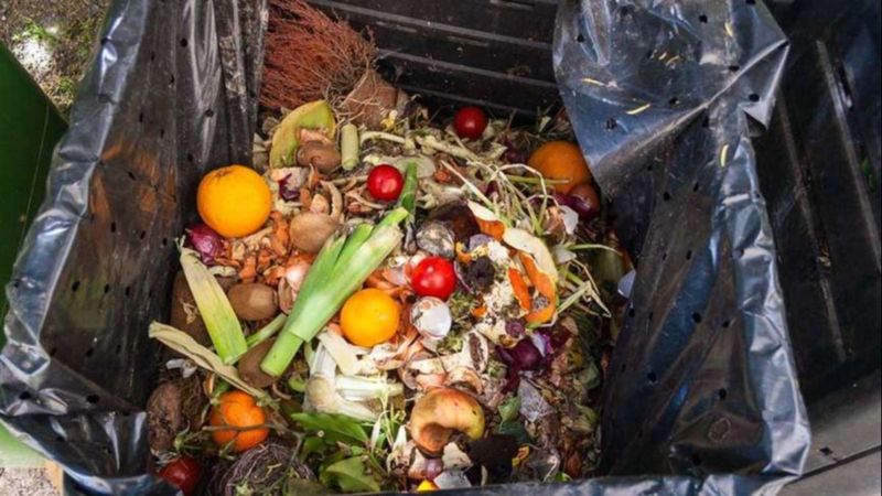 Türkiye'de her yıl 7,7 milyon ton yiyecek çöpe atılıyor