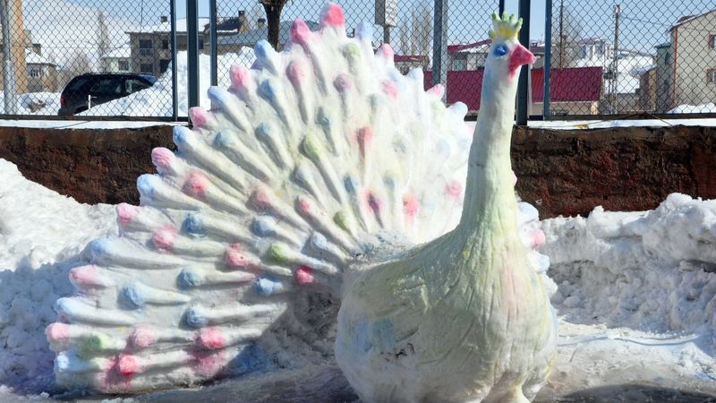 Yüksekova'daki kardan 'tavus kuşu' ilgi çekti