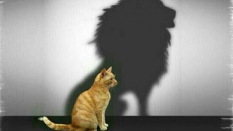 Megaloman nedir, kimlere denir? Megalomani hastalığı belirtileri nelerdir?