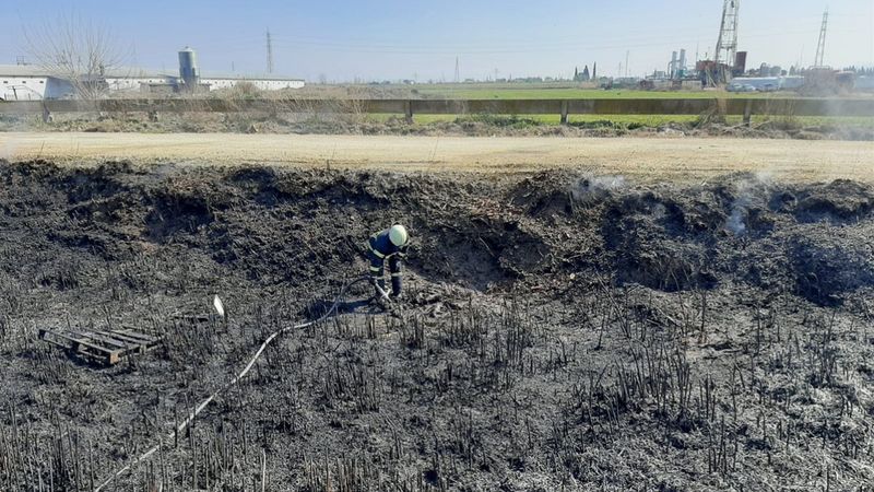 Manisa'da yangın: 10 köpek yavrusu telef oldu