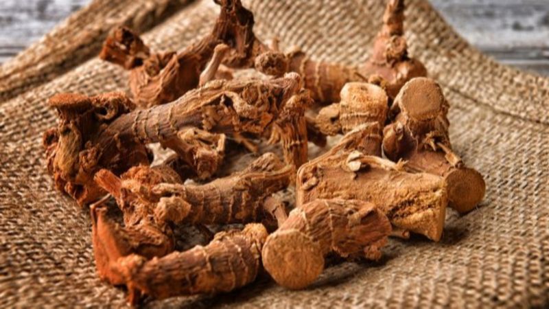 Havlıcan nedir, nasıl tüketilir? Havlıcanın faydaları nelerdir?