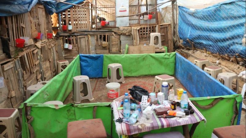 Antalya'da horoz dövüşü baskını: 22 gözaltı