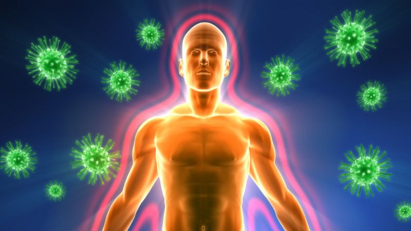 Bağışıklığı artırmanın doğal yolları