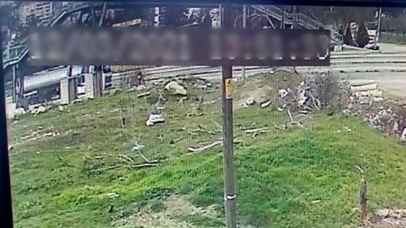 Tekirdağ'da yola fırlayan yayaya tır çarptı