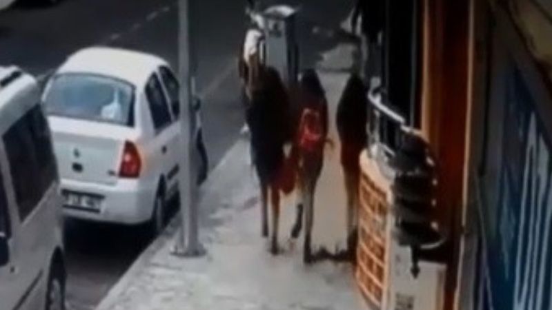 Tekirdağ'da öğrenciler düşen saksıdan saniyelerle kurtuldu