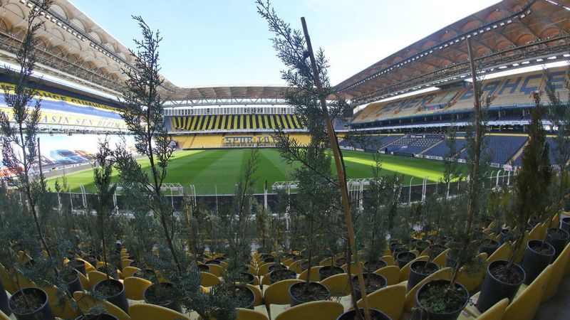 Kadıköy'de tribünlere fidan koyuldu