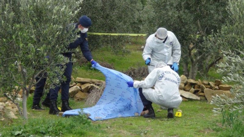 Antalya'da kardeşlerin ağaç kavgası kanlı bitti