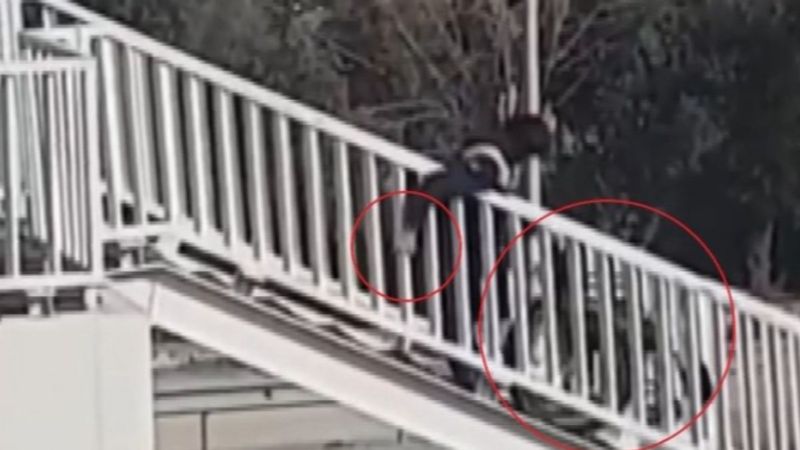 Yalova'da engelli vatandaşa üst geçit işkencesi