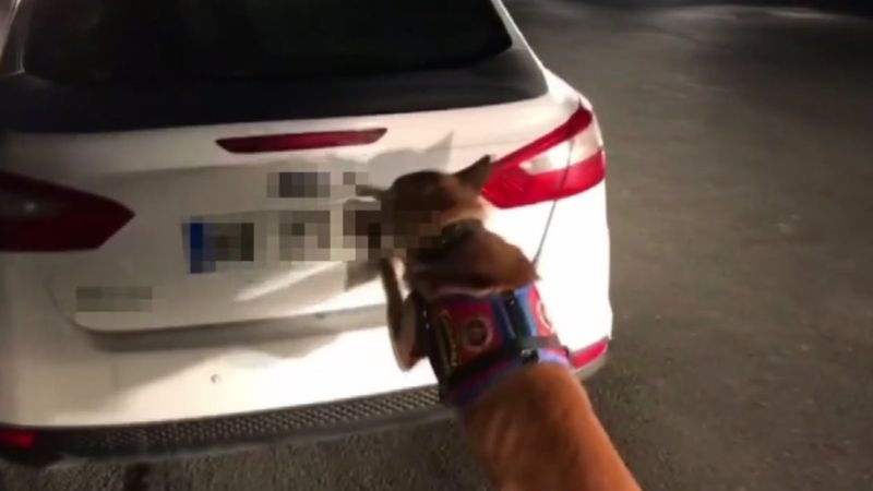 Eyüpsultan'daki hazır kahve paketlerinin içinden uyuşturucu çıktı