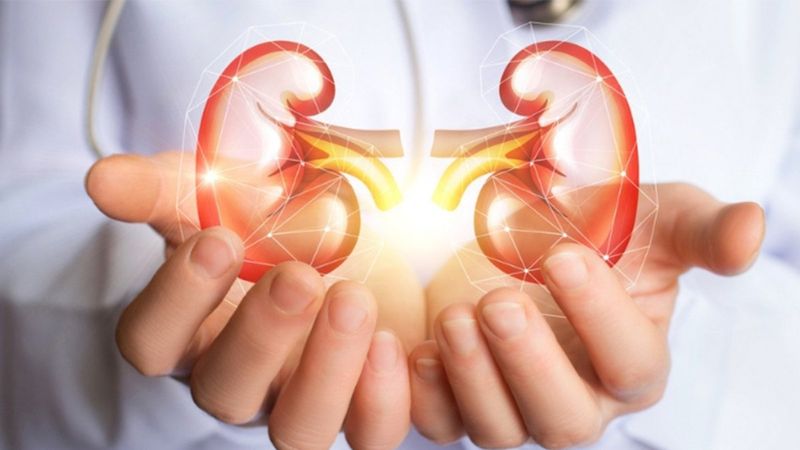 Böbrek hastalarının koronavirüs kaynaklı ölüm riski çok yüksek