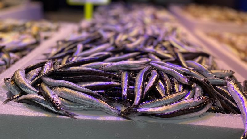 Trabzon'da taze hamsinin kilogramı 20 liradan satılıyor