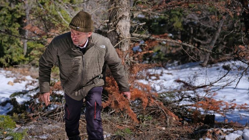 Konya'daki şizofreni baba, 6 yaşındaki oğlunu cesaret için dağa bıraktı