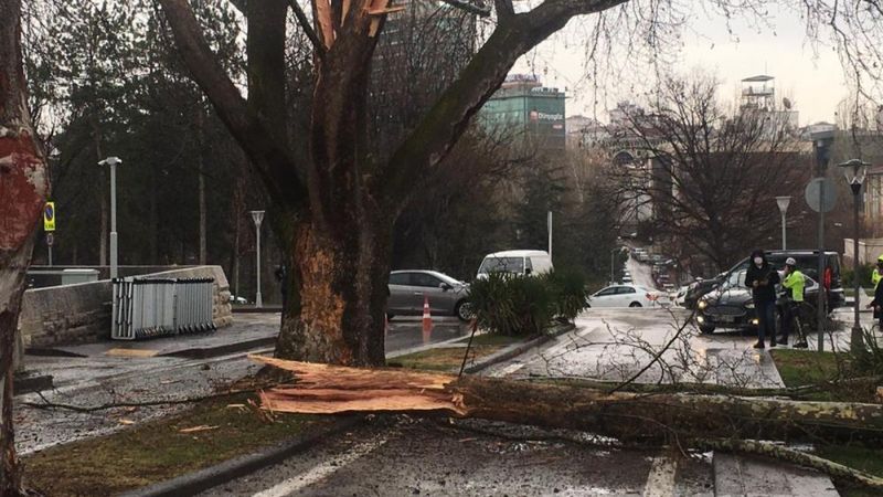 TBMM bahçesine yıldırım düştü