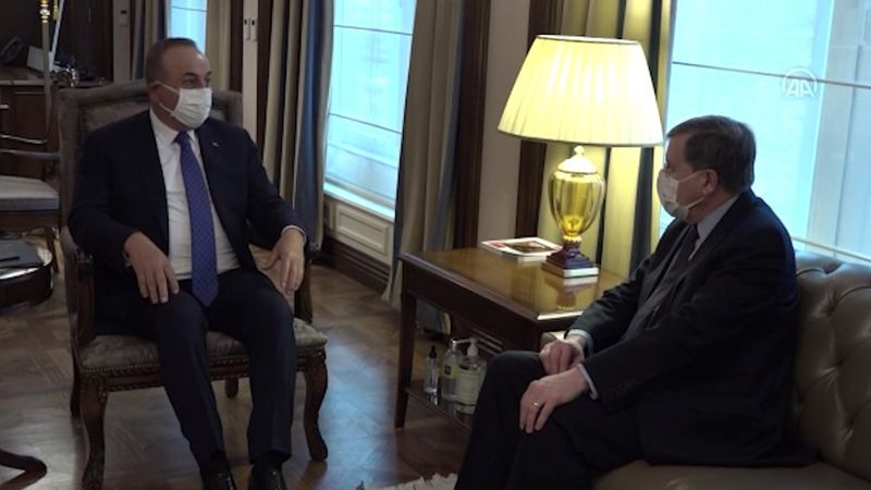 Mevlüt Çavuşoğlu ABD Büyükelçisi Satterfield'ı kabul etti