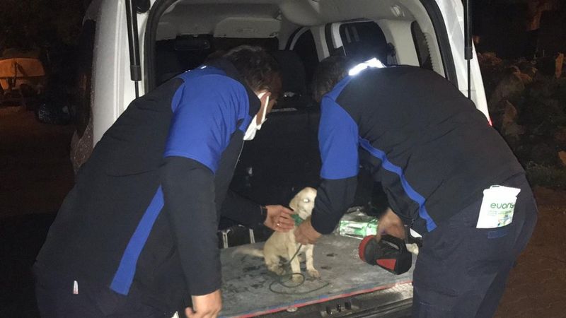 Bursa'da boynuna ip dolayıp ölüme terk ettiler