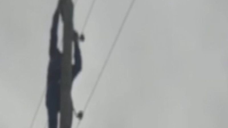 Şanlıurfa'da direkte mahsur kalan kediyi, muhtar kurtardı