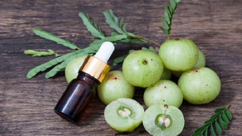 Amla yağı nedir, faydaları nelerdir? Amla yağı nasıl kullanılır?
