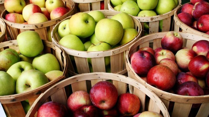 Kırmızı ve yeşil elma: Hangisi daha sağlıklı?