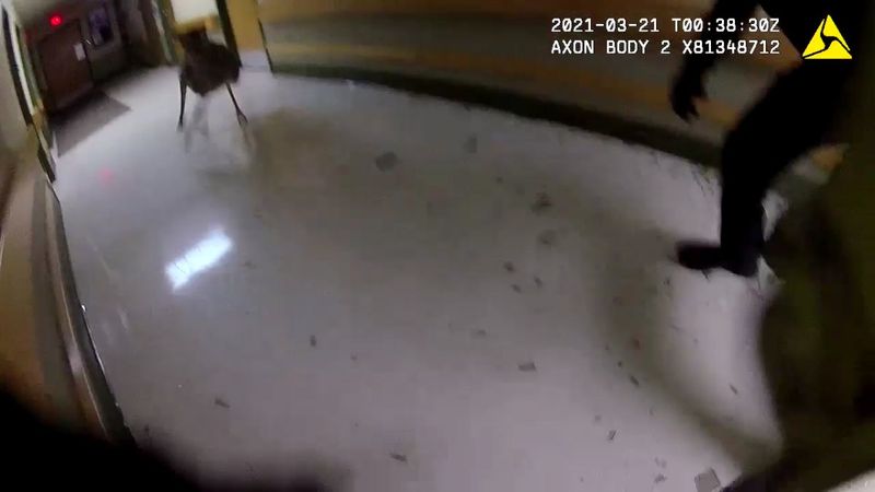 ABD'de huzurevinde geyik operasyonu