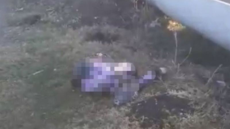 Adana'da hamile kadın yol kenarında ölü bulundu