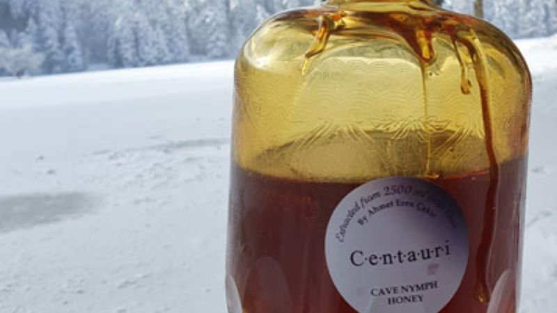 Türk balı, Guinness Rekorlar Kitabı'nda