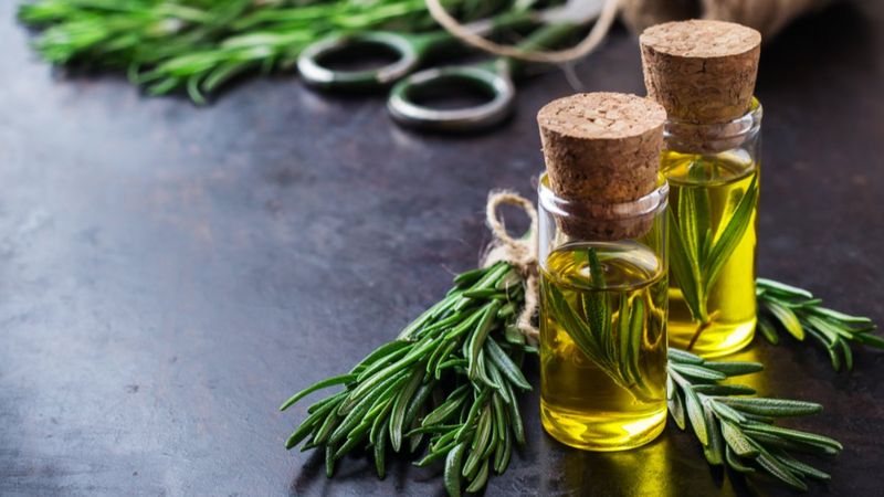 Biberiye yağının faydaları