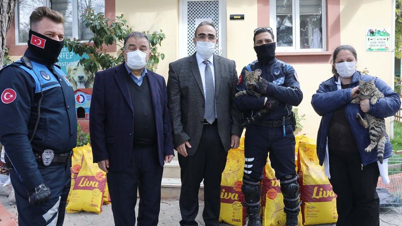 Gaziantep'te kediyi çivili sopayla döven şahıs, mama karşılığında affedildi