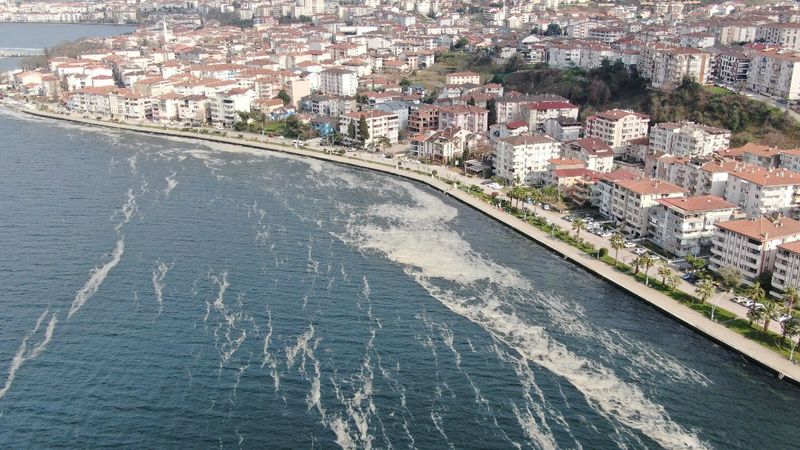 İzmit Körfezi’nde deniz salyası istilası