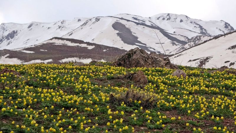 Yüksekova'da iki mevsim bir arada