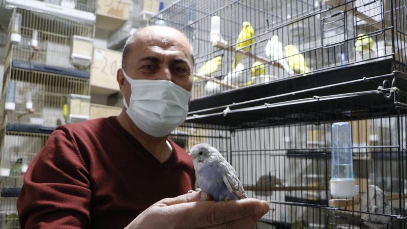 Çanakkale'deki hayvanseverin beslediği kuşların sayısı 50'ye ulaştı