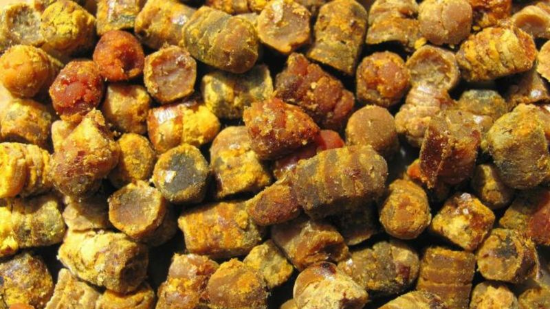 Kovandaki vitamin deposu: Perga (Arı ekmeği) nedir? Arı ekmeği faydaları..