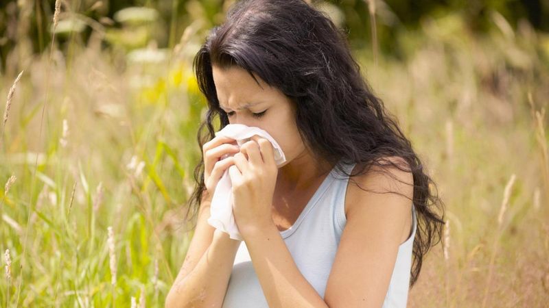 Baharla gelen saman nezlesi kabus oluyor