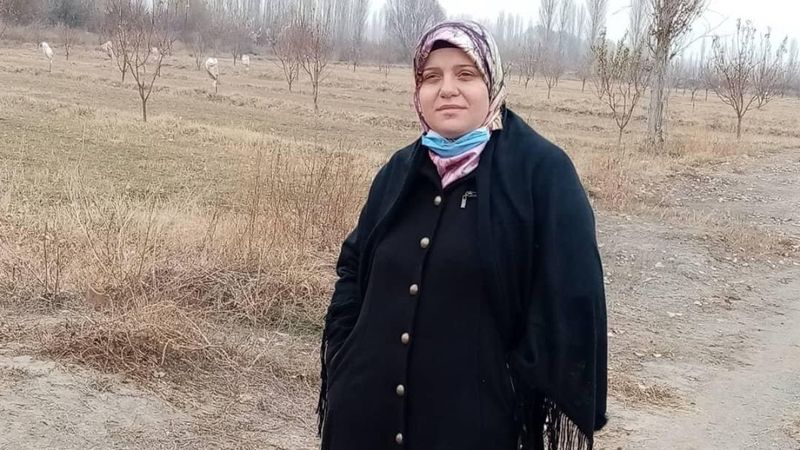 Iğdır'da üstüne yıldırım düşen kadın yaralandı