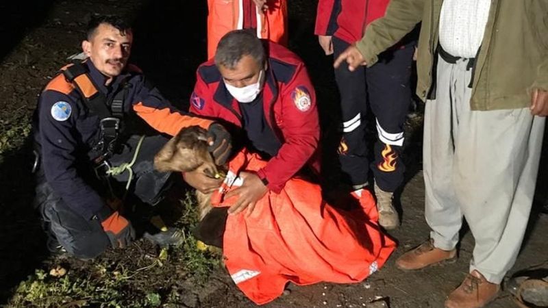 Mersin'de su kuyusuna düşen keçi, itfaiye tarafından kurtarıldı