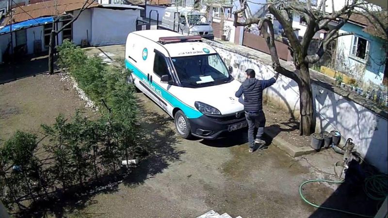 Sakarya'da köpekten korkan kurye ağaca çıktı