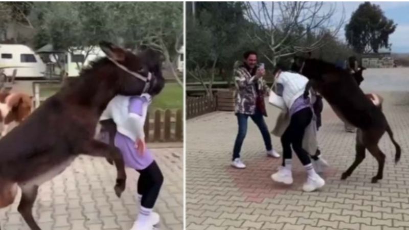 Zeynep Öztürk’ün eşekle imtihanı