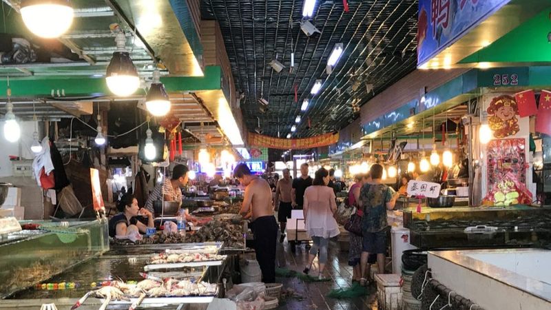 DSÖ: Canlı hayvan pazarları kapatılsın