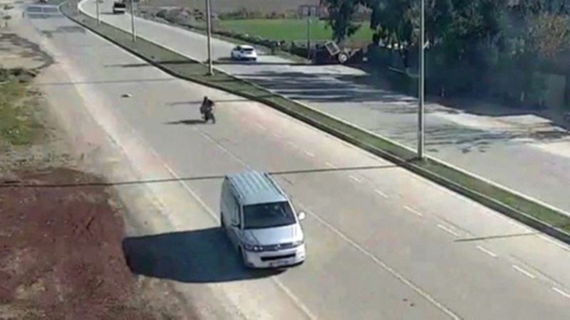 Osmaniye'de köpeği ezen sürücü kamerada