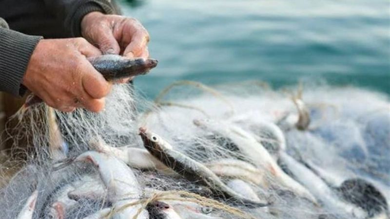 Balık avı yasağı başladı mı? Denizlerde av yasağı tarihleri 2021