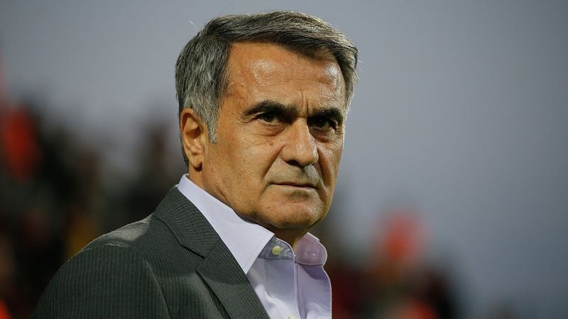 Şenol Güneş: Milli Takım prim alsa ne olur