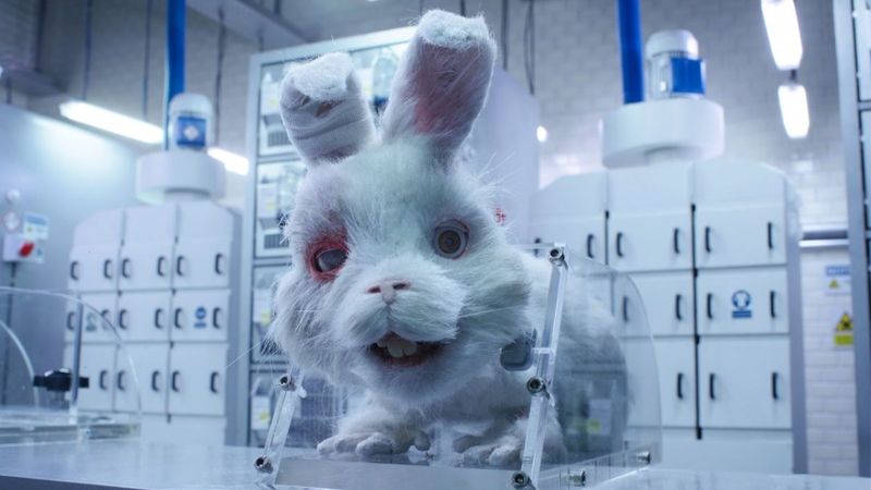 Kobay bir tavşanın hikayesi: Save Ralph nedir?