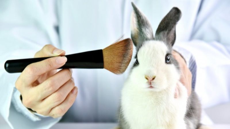 Cruelty Free ne demek, anlamı nedir? Cruelty-Free Türkçe anlamı