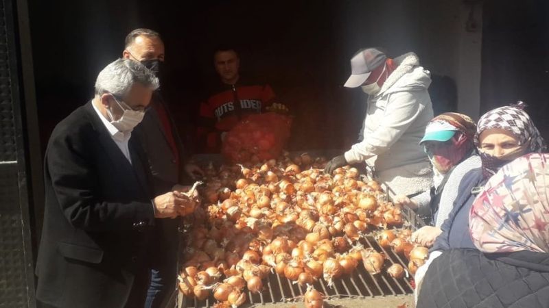 TMO, Amasya’nın Suluova ilçesinde soğan alımına başladı