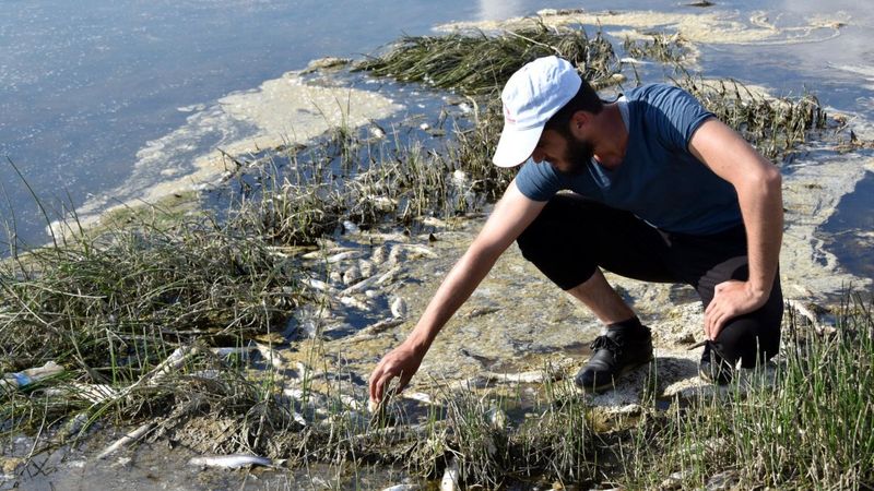 Van'da inci kefali göçü için kanallara boru döşendi