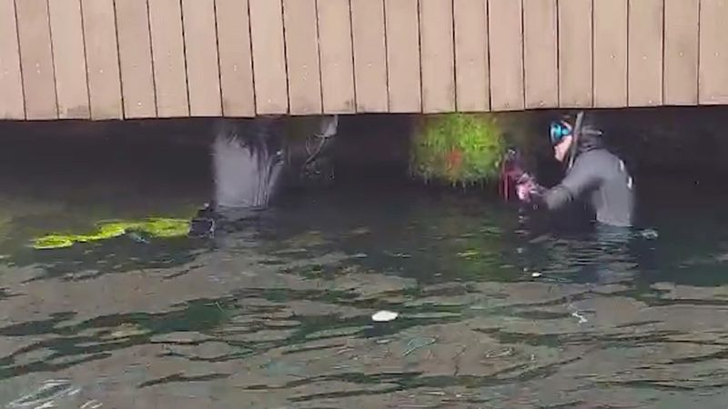 Beylerbeyi'nde iskele altına sıkışan kedi kurtarıldı